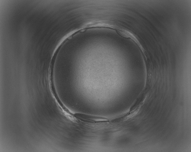 X0000054401149200508011316