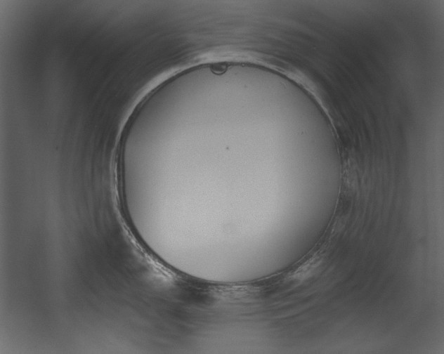 X0000054401150200508011316