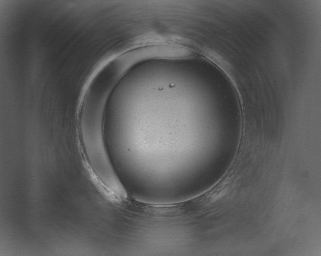 X0000054401152200508011316