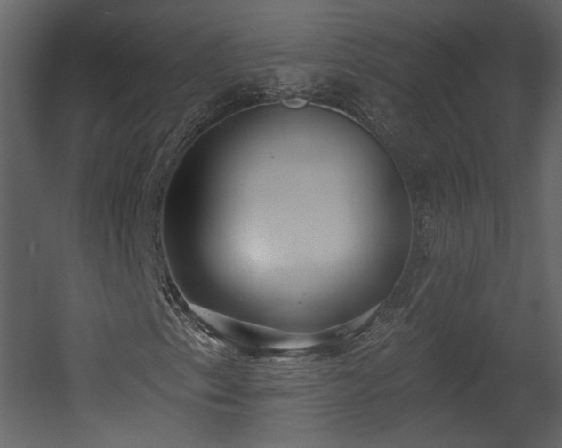 X0000054401153200508011315