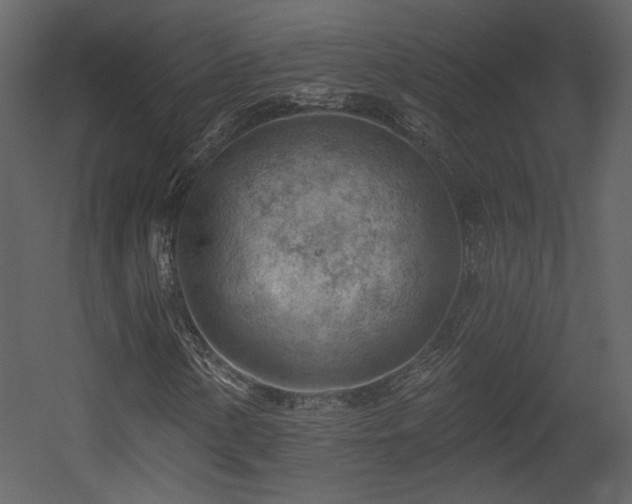 X0000054401154200508011315