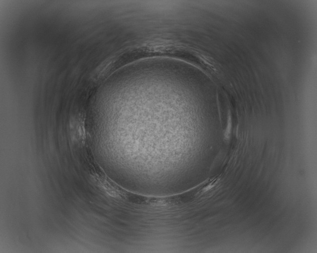 X0000054401155200508011315