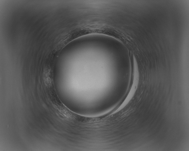 X0000054401156200508011315