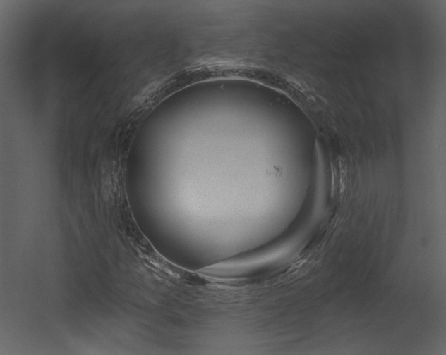 X0000054401157200508011315