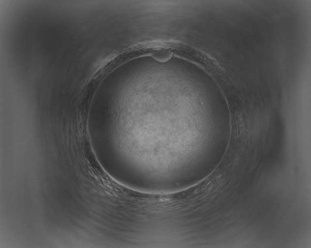 X0000054401158200508011315