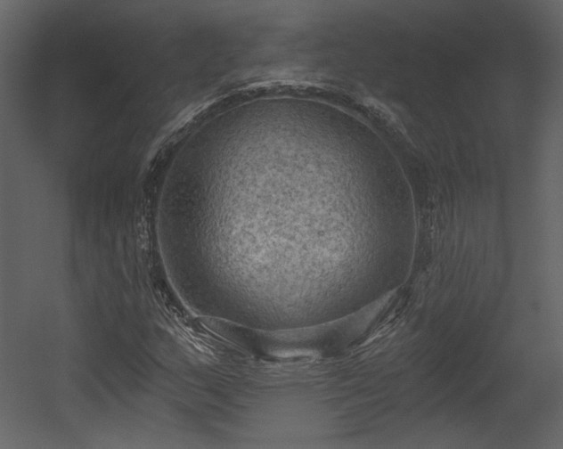 X0000054401159200508011315