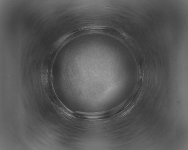 X0000054401161200508011315