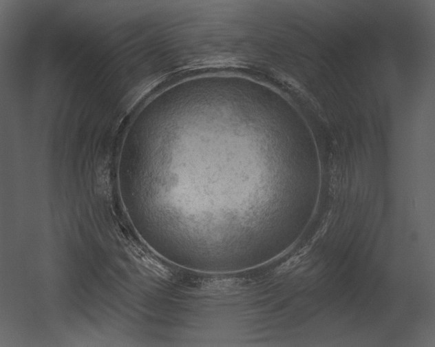 X0000054401162200508011315