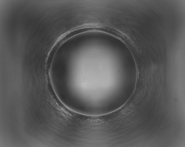 X0000054401168200508011315