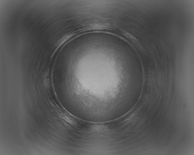 X0000054401170200508011315