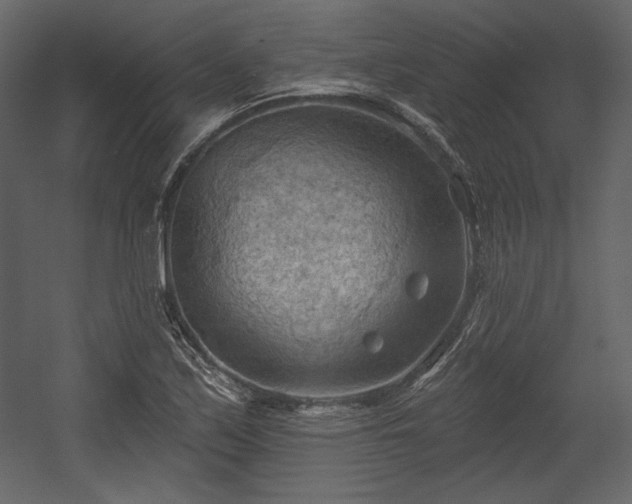 X0000054401171200508011315