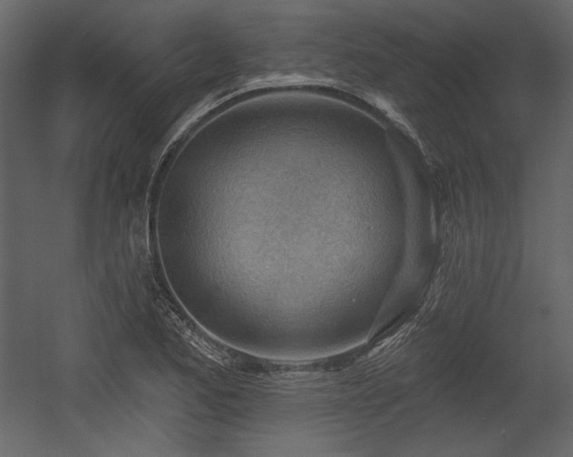 X0000054401173200508011315