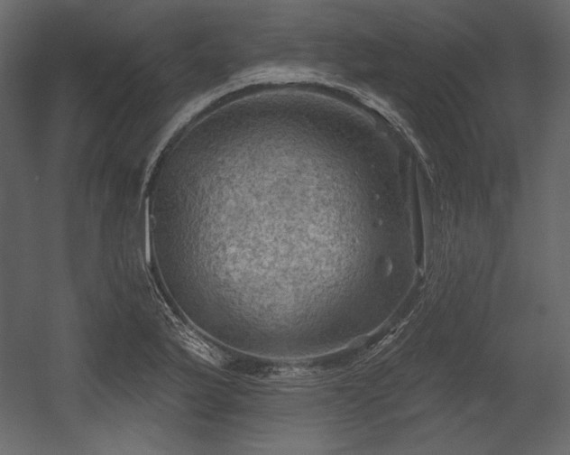 X0000054401175200508011314