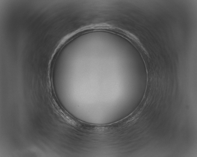 X0000054401176200508011314