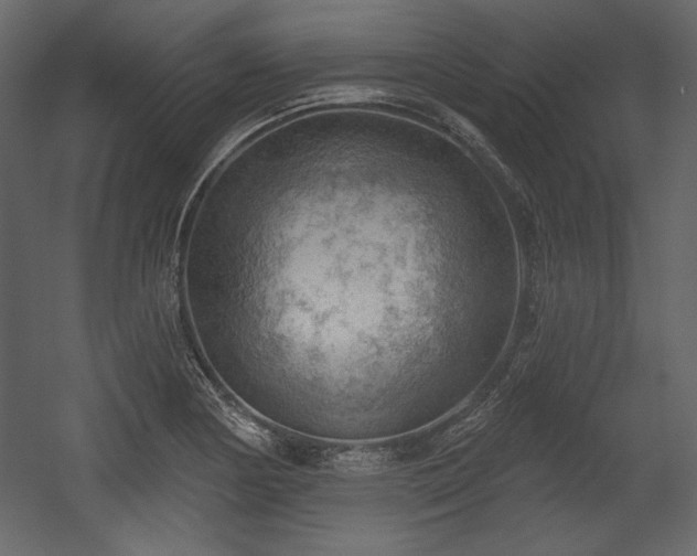 X0000054401178200508011314