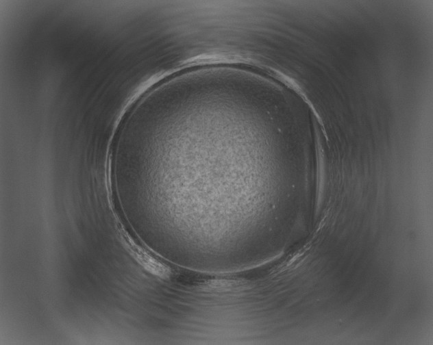 X0000054401179200508011314