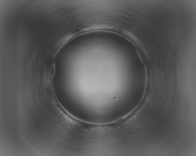 X0000054401185200508011314