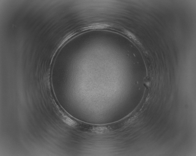 X0000054401186200508011314