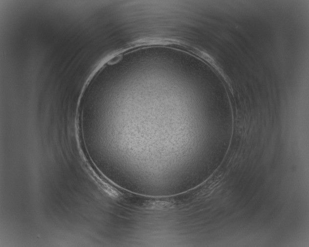 X0000054401187200508011314