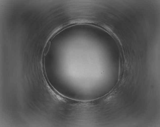 X0000054401189200508011314
