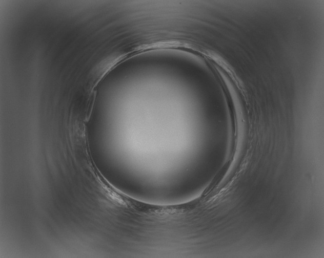 X0000054401193200508011314