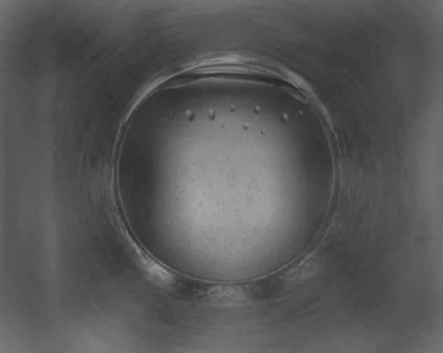 X0000054401194200508011314