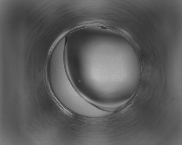 X0000054401196200508011314