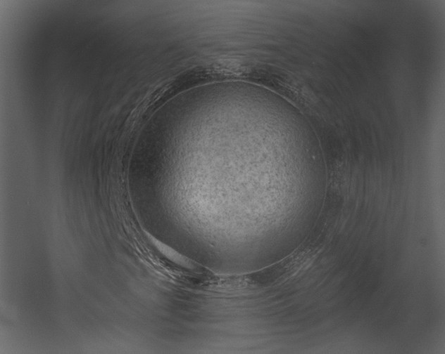 X0000054401201200508011313