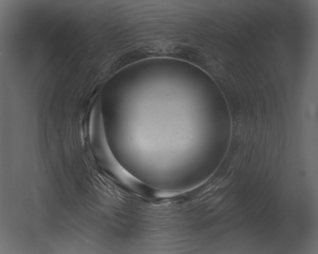 X0000054401202200508011313