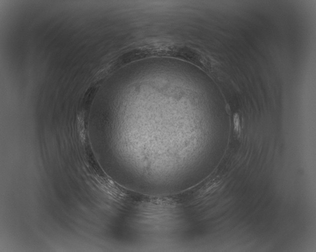 X0000054401203200508011313