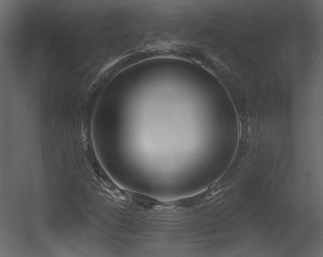X0000054401206200508011313