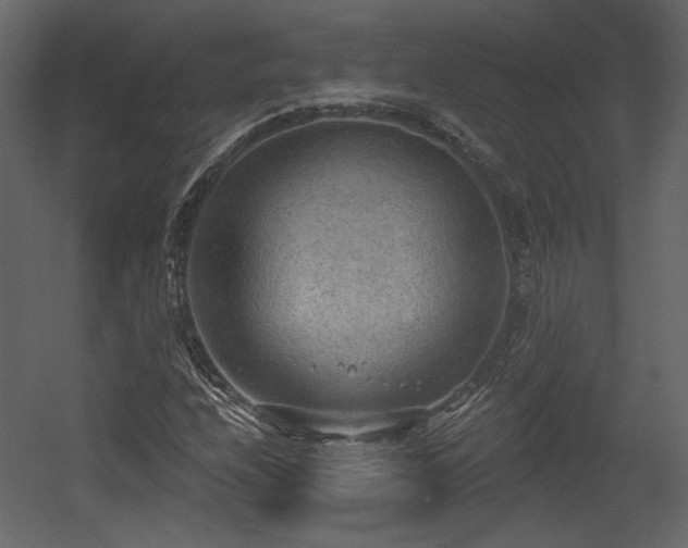 X0000054401208200508011313