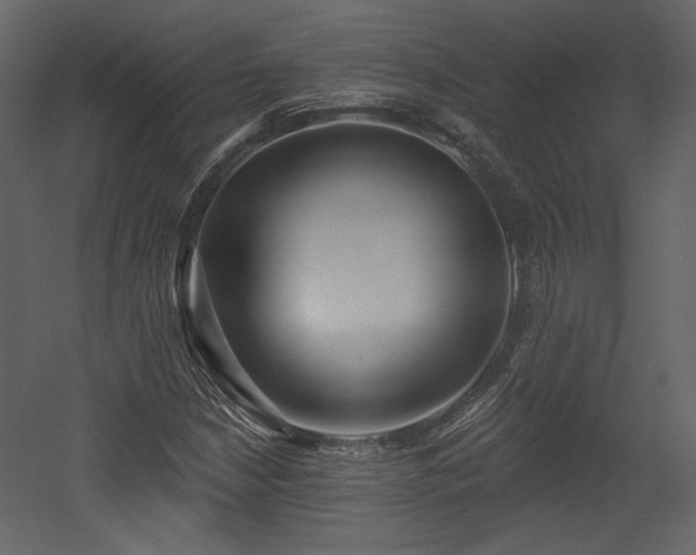 X0000054401210200508011313