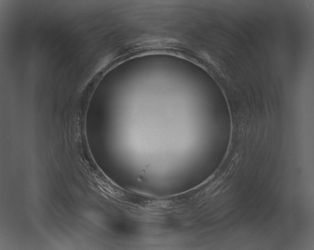 X0000054401211200508011313