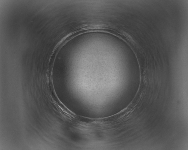 X0000054401212200508011313