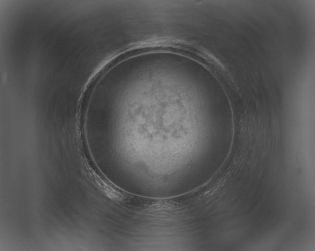 X0000054401216200508011313