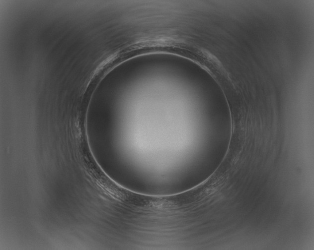 X0000054401218200508011314