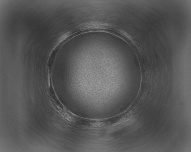 X0000054401219200508011314