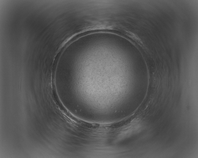 X0000054401220200508011314