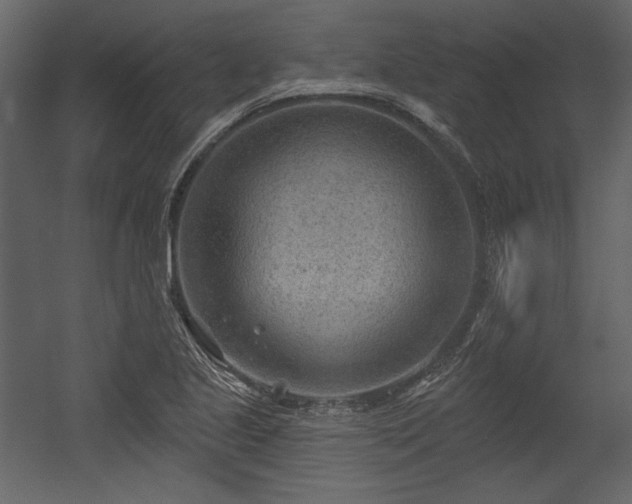 X0000054401221200508011314