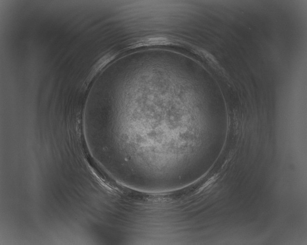 X0000054401225200508011314