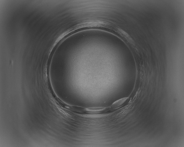X0000054401226200508011314