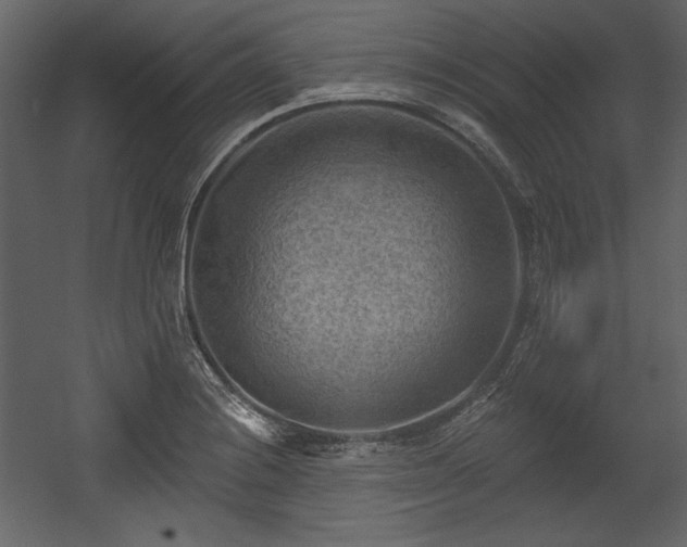 X0000054401228200508011314