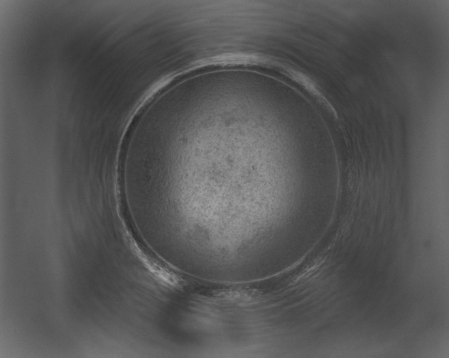 X0000054401229200508011314