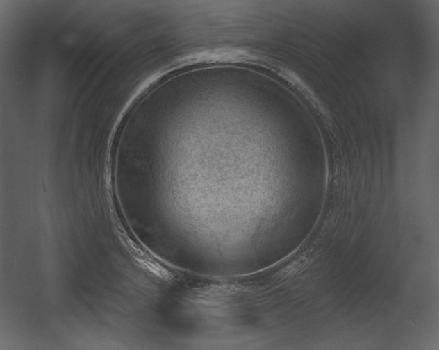 X0000054401232200508011314