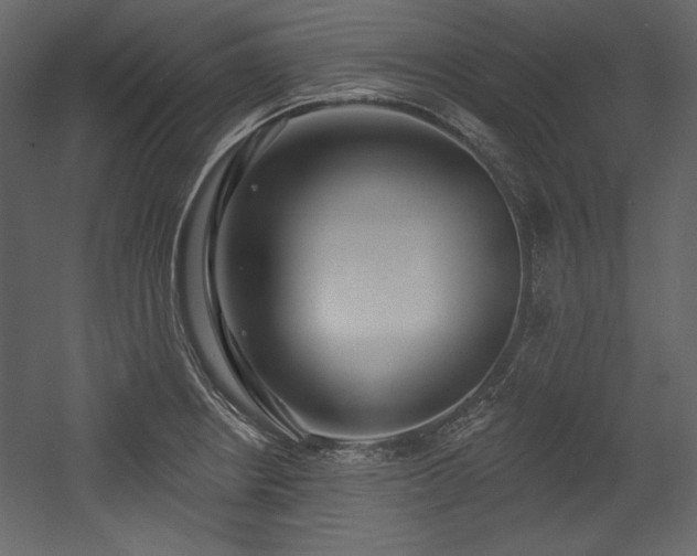 X0000054401234200508011314