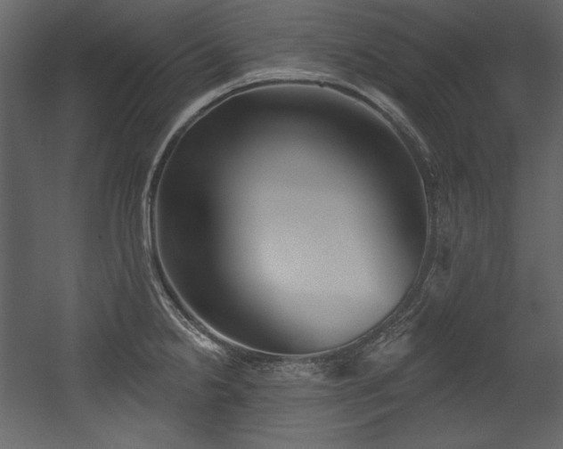 X0000054401238200508011314