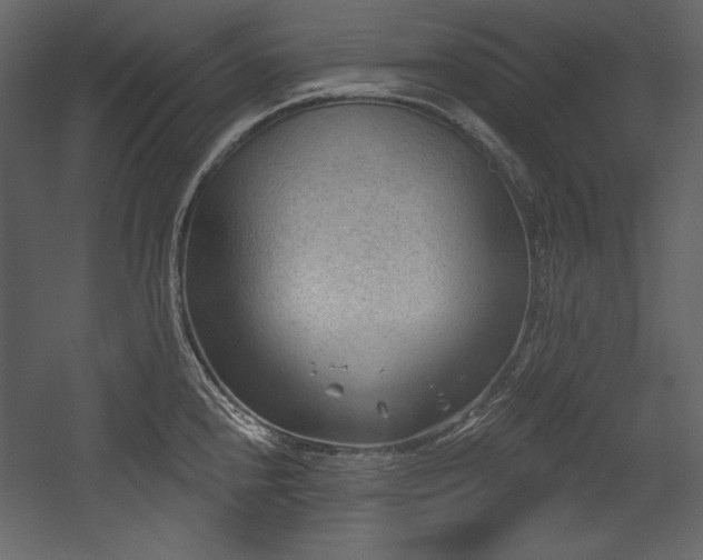 X0000054401240200508011314