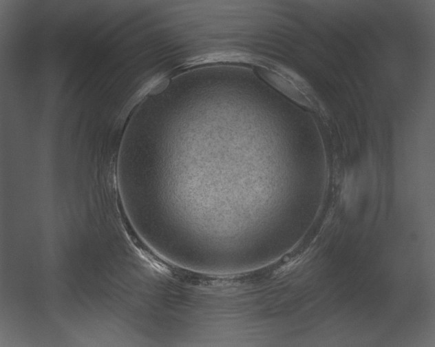 X0000054401241200508011314