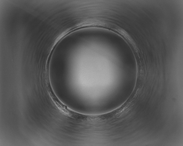 X0000054401242200508011314